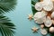 Scenic view of a beautiful seashell in a tranquil tropical paradise background
