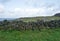 Scenic view on the Burren of southwest Ireland