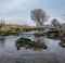 Scenic view of a calm rocky river and bare trees in Mertingen, Germany