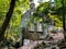 Scenic view of the Carbide Willson Ruins found in a forest