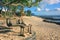 Scenic view of carefully laid out relaxation beach zone with vintage wooden seesaw for watching the sunset