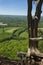 Scenic view from a cliff on Talcott Mountain in Connecticut