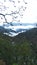 A scenic view of cloudy fog and mountainview .