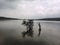 Scenic view of cloudy weather , lake and tree at middle of water.