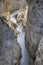 Scenic view of the Congost de Mont-rebei nature reserve in Spain.