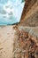 Scenic view of coral rocks on a wall at Malindi Beach in Malindi, Kilifi County, Kenya