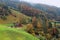 Scenic view of a country road & farmhouses by colorful autumn forests on the green grassy hillside