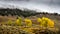 Scenic View of the Countryside in Yellowstone National Park