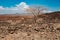 Scenic view of desert landscape in Loiyangalani District in Turkana County, Kenya