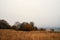 Scenic view of dried shrubs at Lenaelva River in Toten, Norway on a foggy day in October