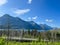 The scenic view driving through Waterton Lake National Park