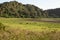 Scenic view of Elephant Pool in Marsabit National Park, Kenya