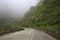 A scenic view of an empty winding road through misty mountains covered in dense, vibrant green foliage. Driving towards Mount