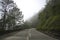A scenic view of an empty winding road through misty mountains covered in dense, vibrant green foliage. Driving towards Mount