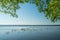 Scenic view of endless lake surrounded by natural frame of green tree