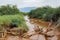 Scenic view of Ewaso Nyiro River in Shompole Conservancy, Kenya