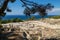 Scenic view from excavation site of the ancient city of Kamiros at the westside of Rhodes island, Greece on the aegaen sea