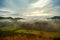 a scenic view of a forest with mountains in the background and trees in the foreground with yellow and green leaves