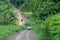 Scenic view of four wheeler cars passing through the unpaved road.