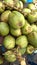 Scenic view of fresh green tender coconuts, Cocos nucifera