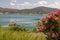 Scenic view at the Gadoura water reservoir on Rhodes island, Greece with blue and turquoise water, pink flowering shrub in the