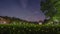 Scenic view of glowing fireflies in the park of Tsinghua University in Beijing, China