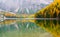 Scenic view of golden larches reflected in water, Lake Braies