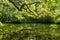 Scenic view of Goshikinuma Pond is in Fukushima, Japan, the huge branches reflecting the clear and still water