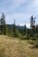 Scenic view of green medow with distant Black Tusk mountain summer morning in garibaldi provincial park canada