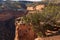 Scenic view of a green tree in Colorado National Monument, Fruita, Colorado, USA