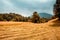 Scenic view of a harvested field under a gloomy sky background