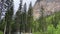 The scenic view in Kicking Horse Campground in Yoho National Park in Canada