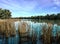 Scenic View of Kings Billabong, Nichols Point, Aus