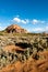 Scenic view at kolob plateau in zion national park