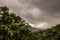 Scenic view from Kuranda