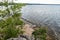 scenic view of a lake overgrown with trees