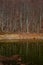 Scenic view of lake by trees against sky, Lago Scuro, Ventasso