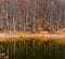 Scenic view of lake by trees against sky, Lago Scuro, Ventasso