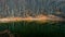 Scenic view of lake by trees against sky, Lago Scuro, Ventasso