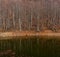 Scenic view of lake by trees against sky, Lago Scuro, Ventasso