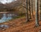 Scenic view of lake by trees against sky, Lago Scuro, Ventasso