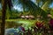 Scenic view of lake with water lilies and palm trees, a small gazebo with a thatched roof. Borneo, Malaysia