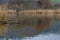 Scenic view of a lakeshore on a cloudy day with focus on branches in foreground