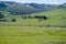 Scenic view of the Lamar Valley area of Yellowstone National Park on a summer morning