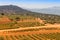 scenic view of lavender fields and other agricultural crops from the farm owners houses. Countryside and scenic nature view