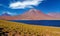 Scenic view on lonely dry arid valley with grass tufts, in andes mountains, altiplanic miscanti brackish deep blue water lake,