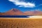 Scenic view on lonely dry arid valley with grass tufts, in andes mountains, altiplanic miscanti brackish deep blue water lake,