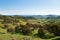 Scenic View of lush farmland, near Cowra, in New South Wales, Australia