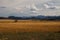 Scenic view of a lush green field located on the outskirts of Monroe, Utah.