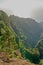 Scenic view of lush green forest in the mountains of La Palma, Canary islands in Spain. Tall Pine trees growing in a